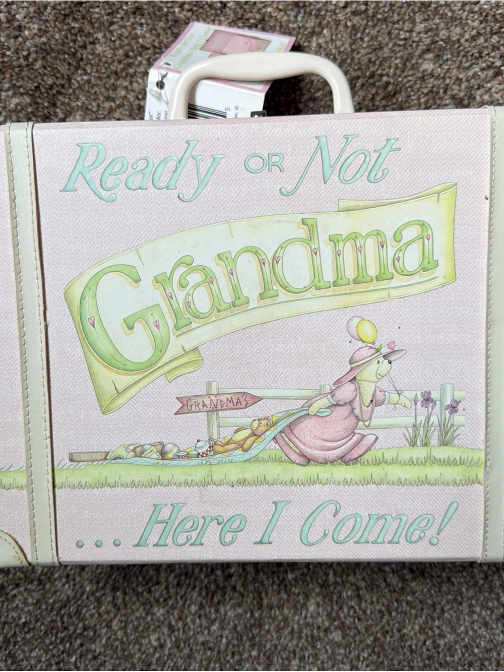 Ready or Not Grandma Carry Case - Pink & Green